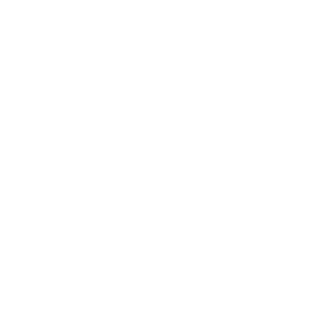 PArtners Logos-03